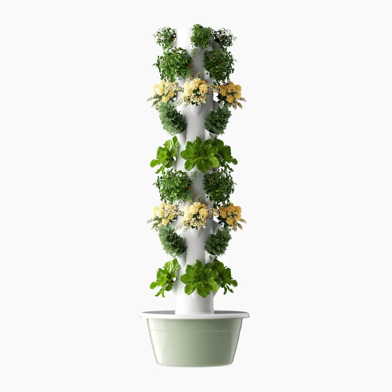 ระบบปลูกพืชแบบไฮโดรโปนิกส์แบบโ - Urban Farming Garden บทวิจารณ์และราคา