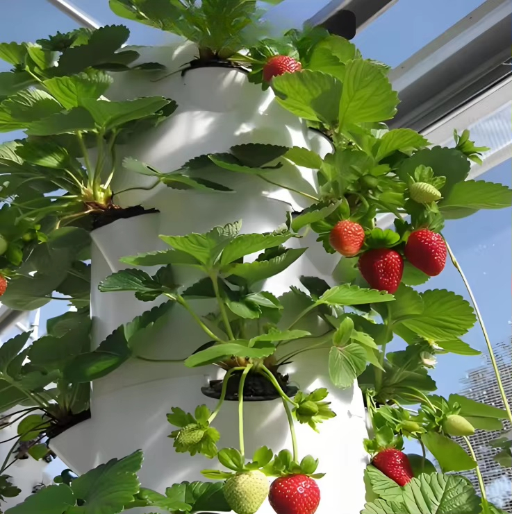 ระบบปลูกพืชแบบไฮโดรโปนิกส์แบบโ - Urban Farming Garden บทวิจารณ์และราคา