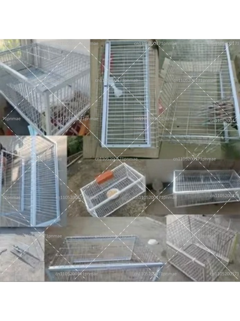 กรงดักนกพิราบอเนกประสงค์สำหรับ - Urban Farming Garden บทวิจารณ์และราคา